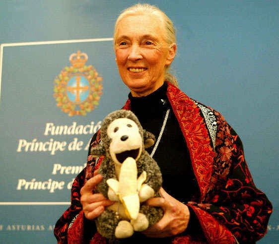 Jane Goodall