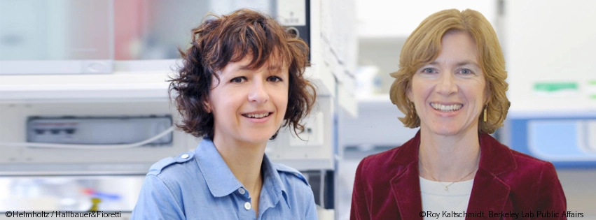 Emmanuelle Charpentier y Jennifer Doudna