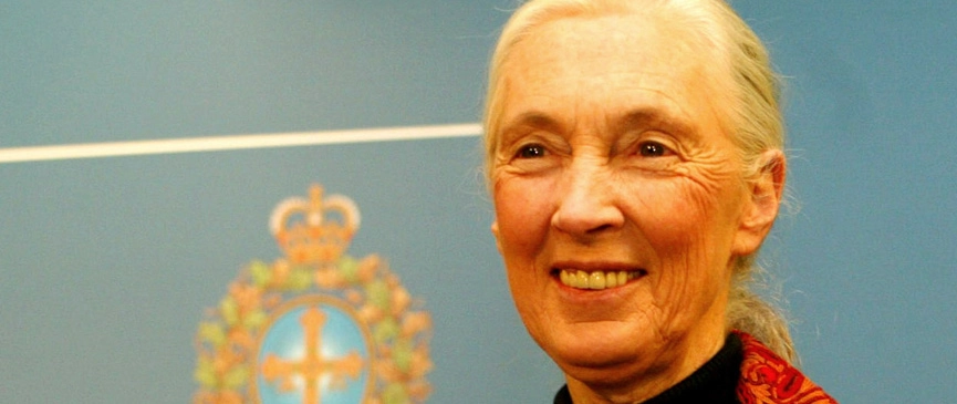 Jane Goodall