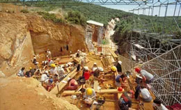 Atapuerca Research Team