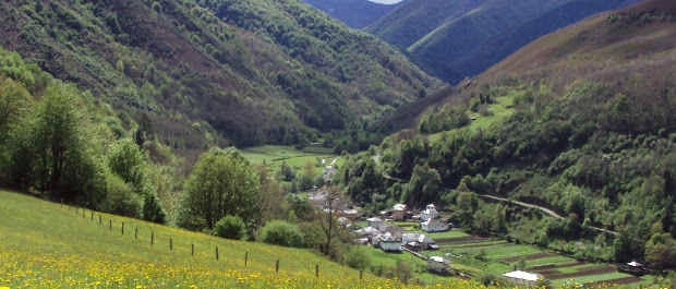 Mual, Cangas del Narcea