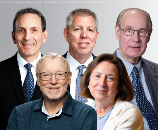 Daniel J. Drucker, Jeffrey M. Friedman, Joel F. Habener, Jens Juul Holst y Svetlana Mojsov, líderes mundiales del campo de la endocrinología, Premio Princesa de Asturias de Investigación Científica y Técnica